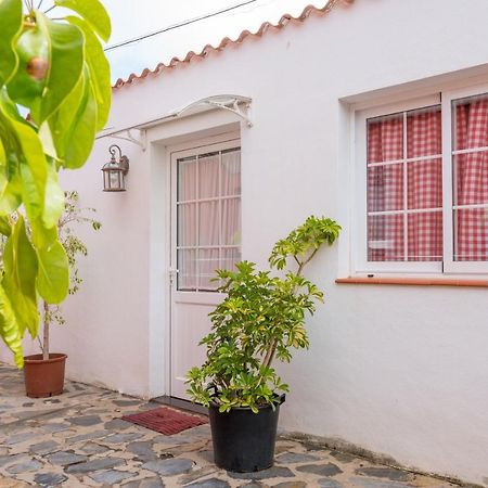 Villa Casa Unifamiliar Tejina Esterno foto